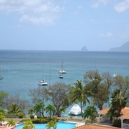 Palm'Studio Anse De Caritan サンタンヌ エクステリア 写真