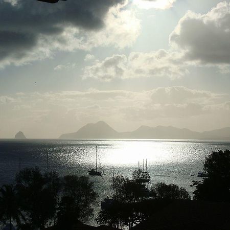 Palm'Studio Anse De Caritan サンタンヌ エクステリア 写真