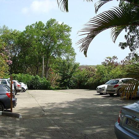 Palm'Studio Anse De Caritan サンタンヌ エクステリア 写真