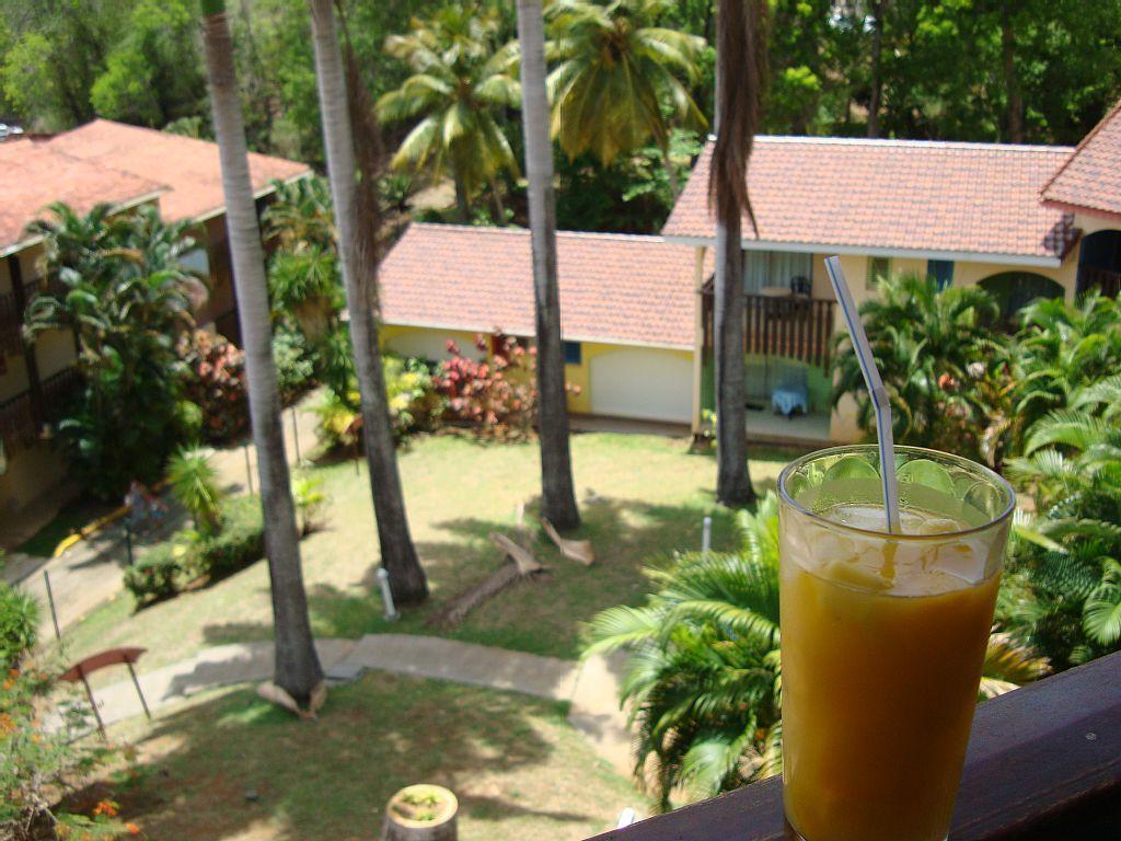 Palm'Studio Anse De Caritan サンタンヌ エクステリア 写真